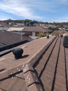 Roof-mounted whirlybirds for heat and moisture control