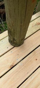 Natural timber decking Burton home