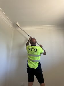 Exterior painting Salisbury SA