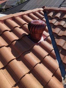 Red Ampelite Whirly Bird