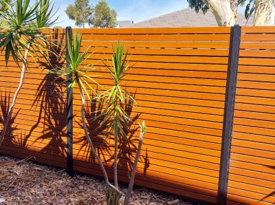 2023 02 23 12 07 50.955