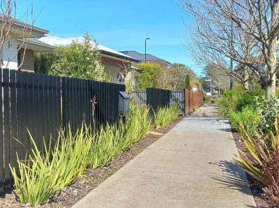 20250902_082818457_iOS