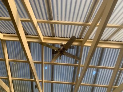 Poly Carb With Holes